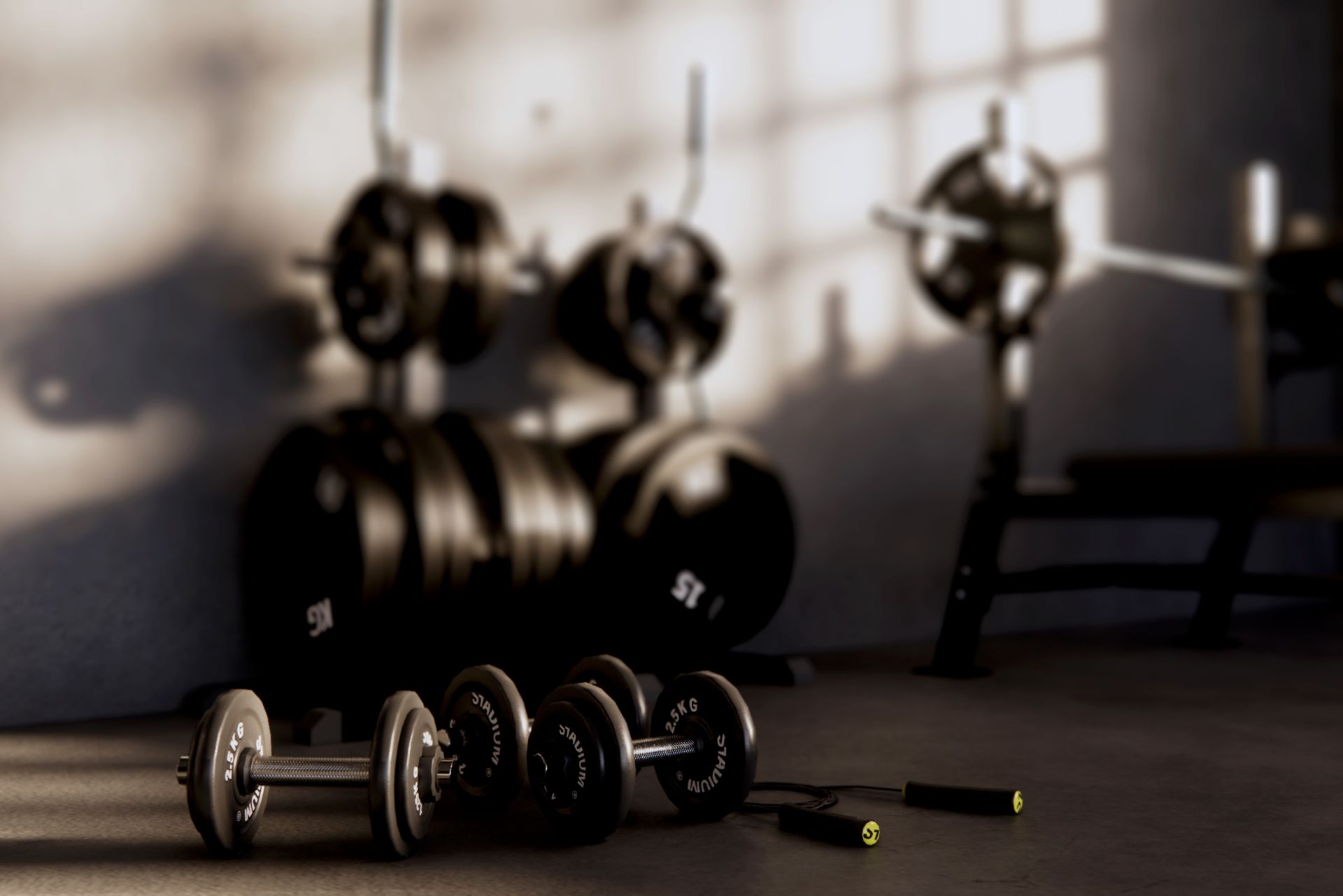Brave Souls training facility and coaching environment